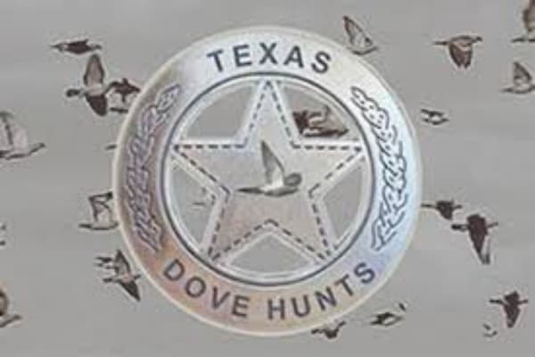 Texas Dove Hunts