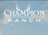 Champion Ranch