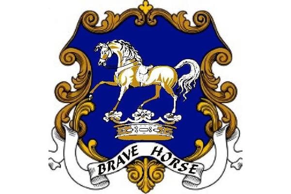 Brave Horse Center