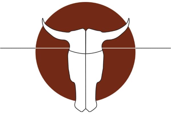 Annemal Veterinary Consulting