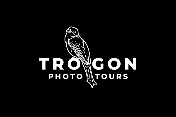 Trogon Photo Tours