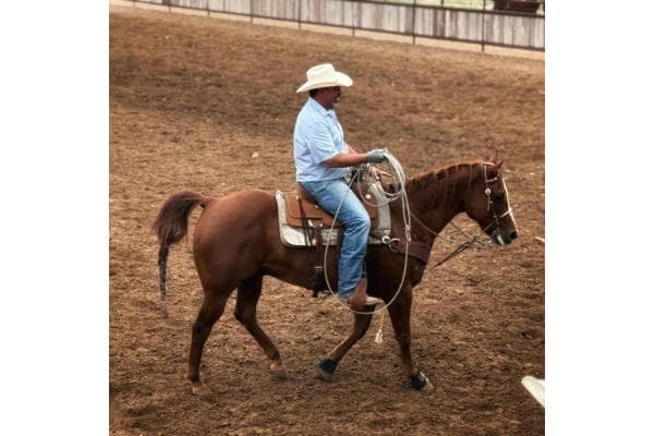 Last Chance Ranch and Horse Hotel