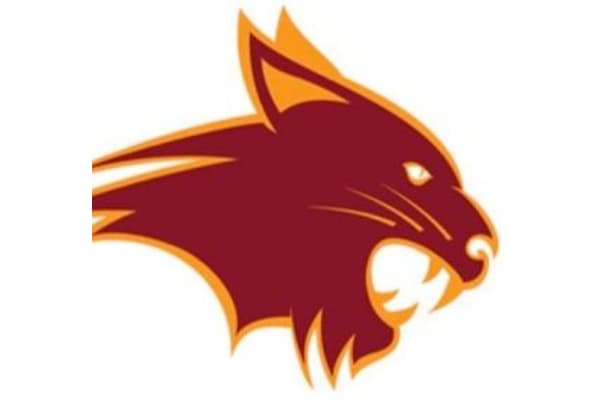 Bobcat Custom Construction