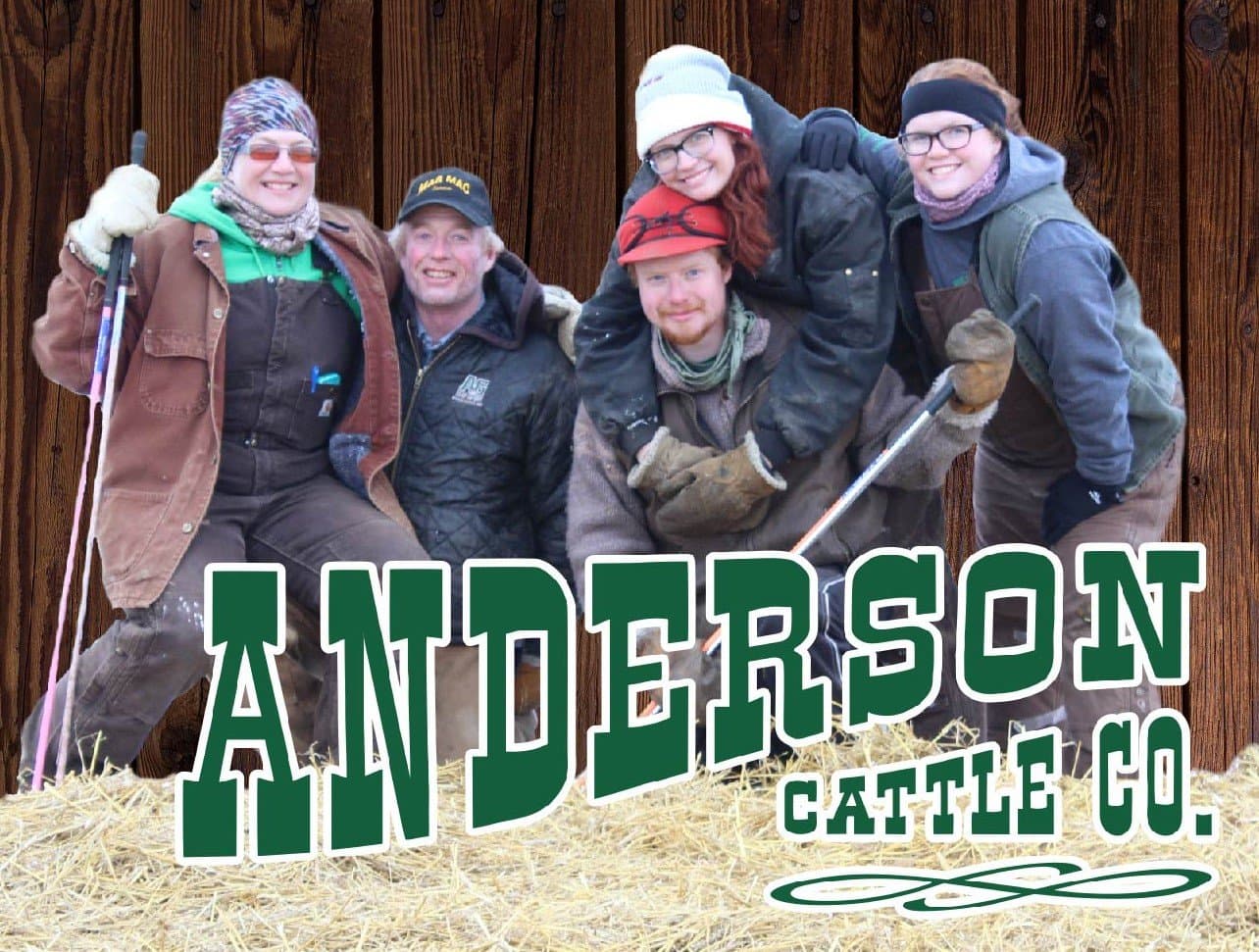 Anderson Cattle