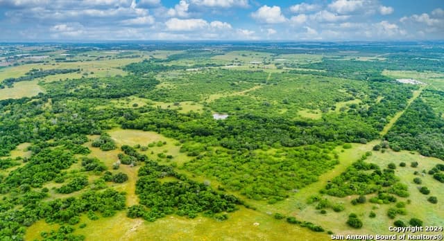 278 acres in Gonzales County