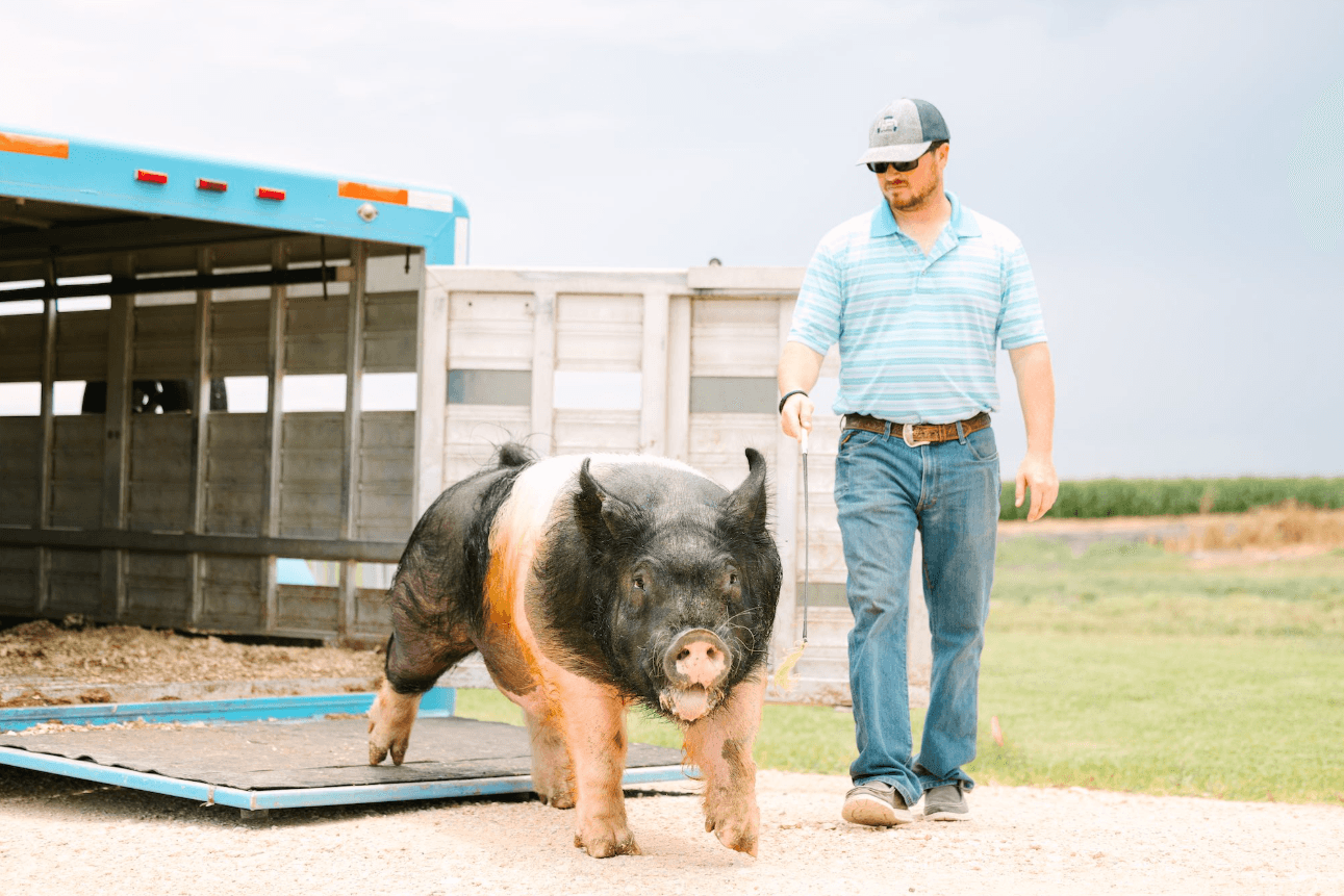 HF Genetics gallery 4