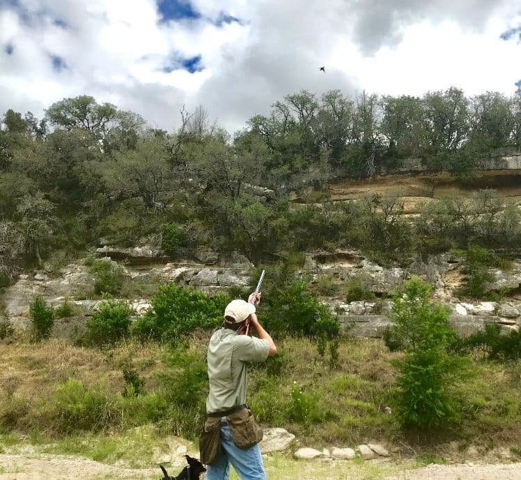 Southern Ranch Sales