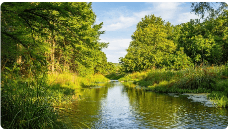 17 Acres in Kerr County