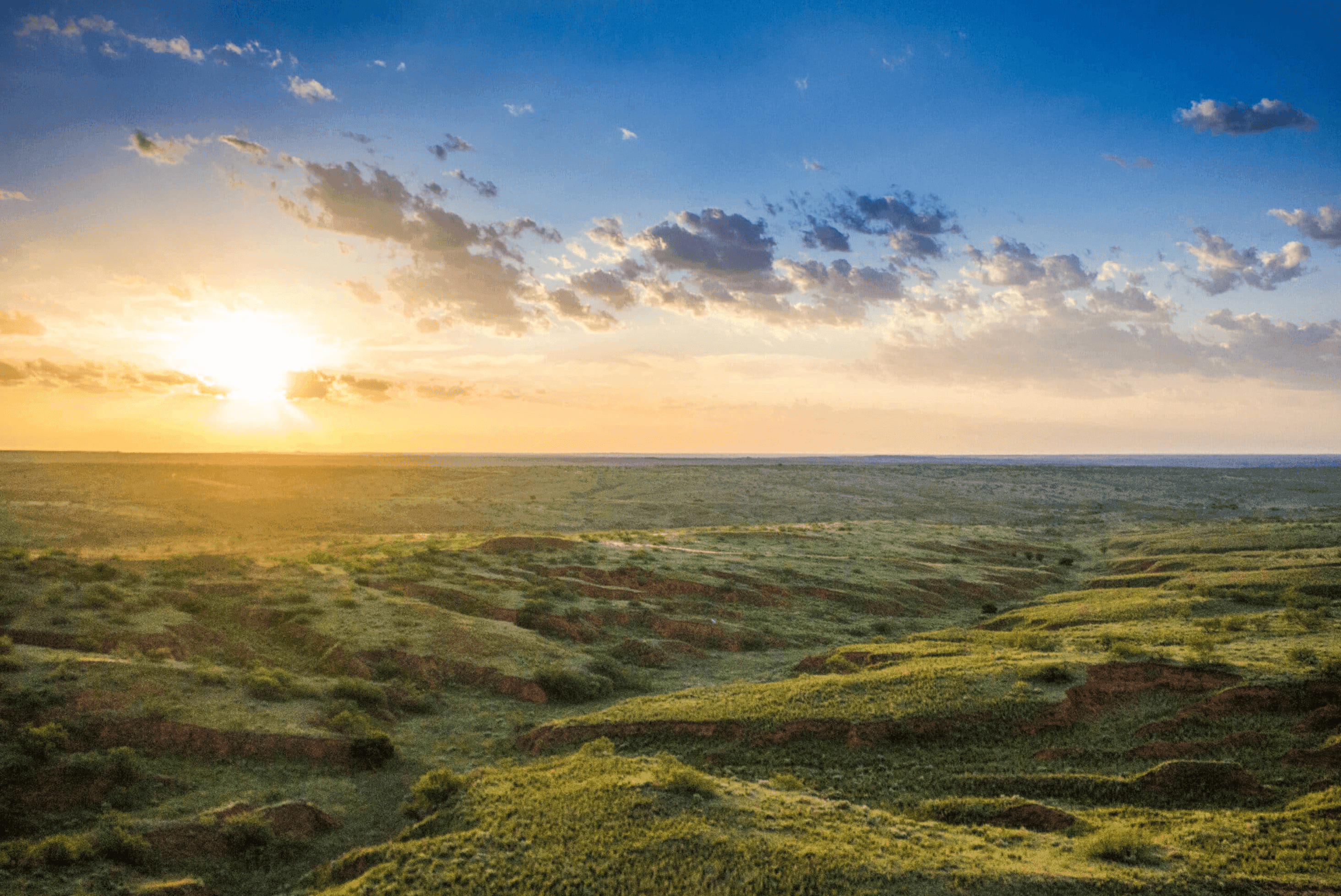 Robert Dullnig: Shaping the Future of Texas Ranching