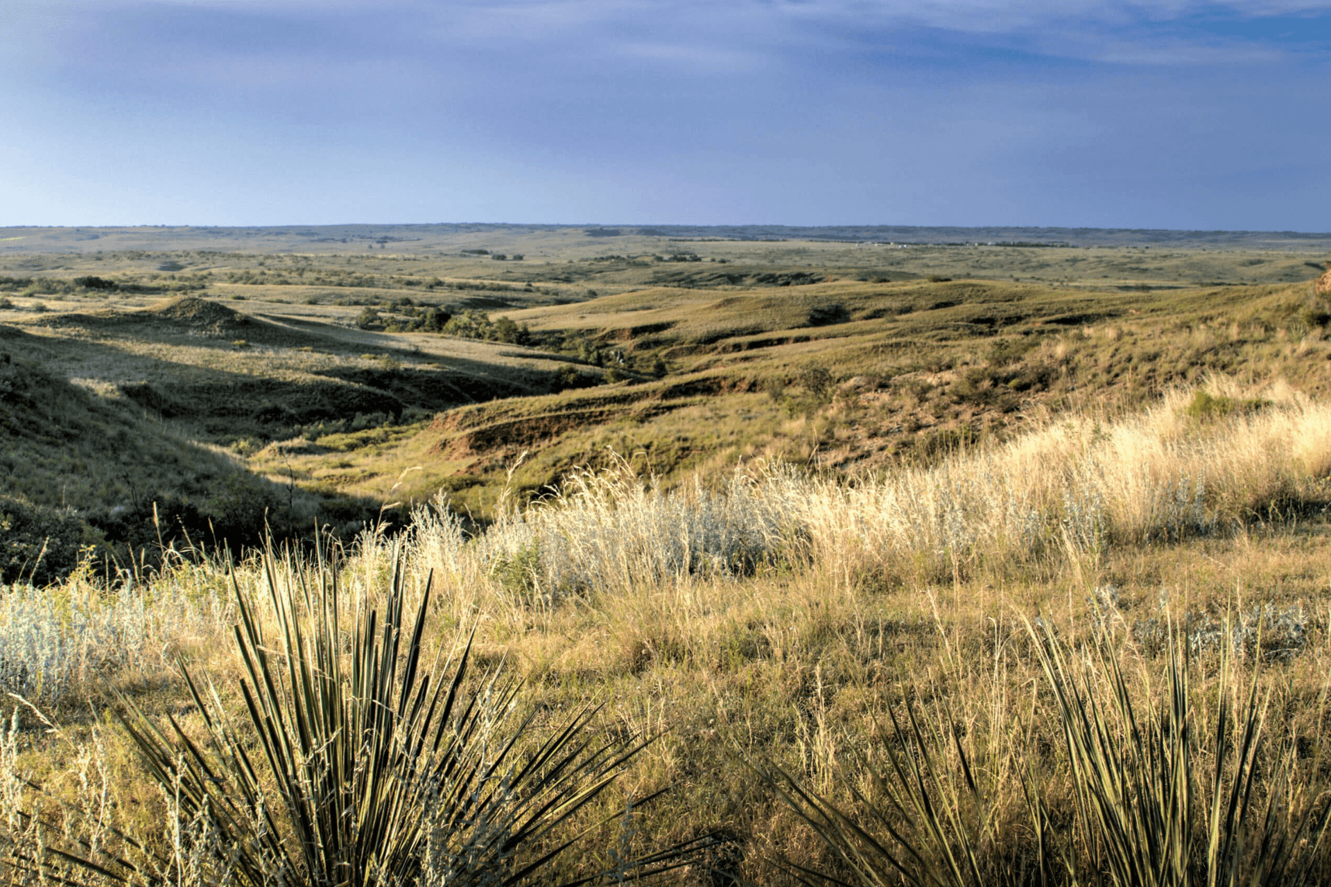 What’s at Stake When Ranches Change Hands