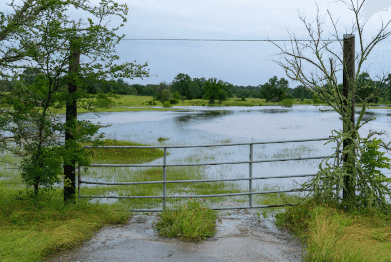 Ranch pond behind a metal gate surrounded by trees and native vegetation in a rural landscape