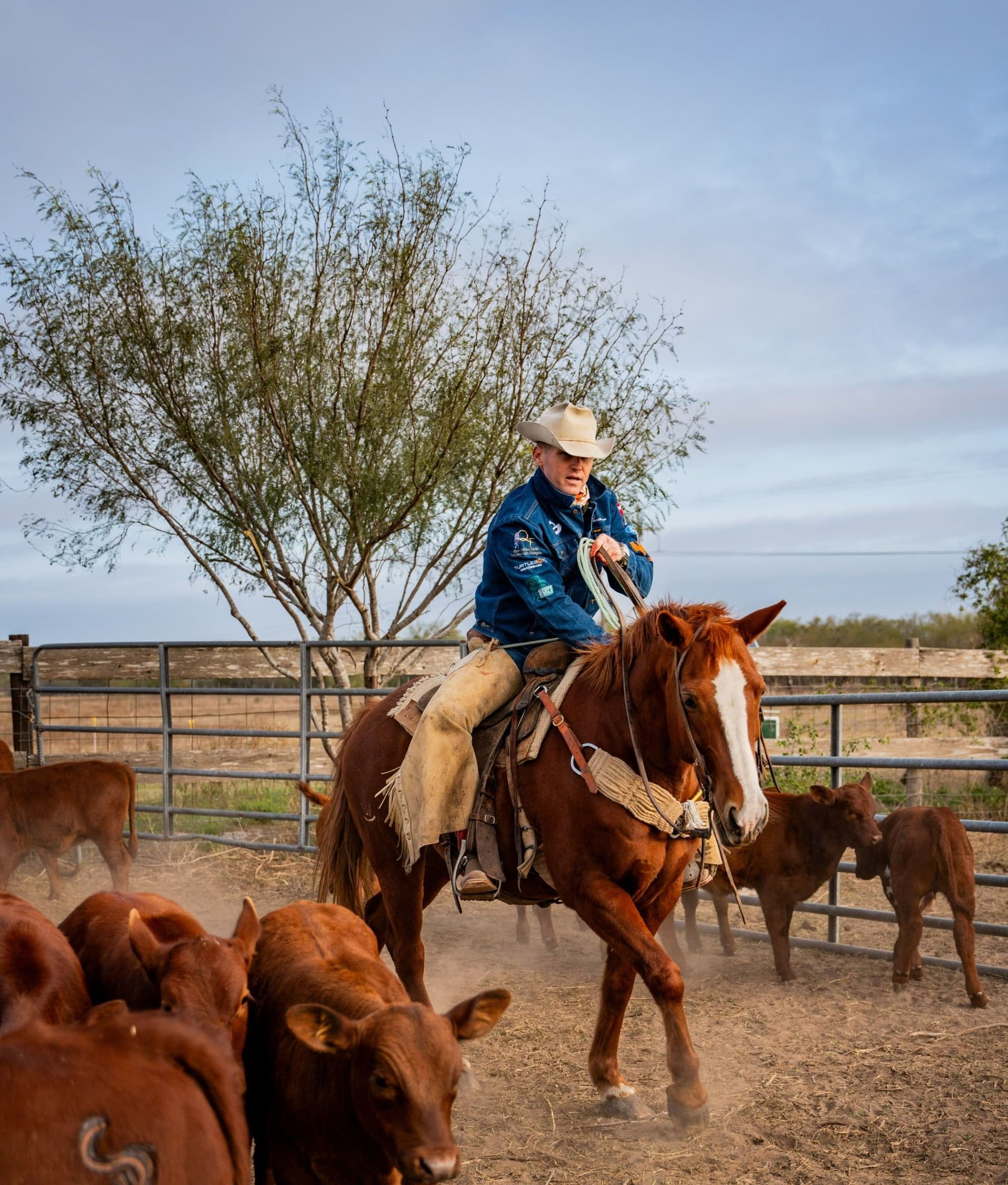 Modern Land Stewardship with James Clement III