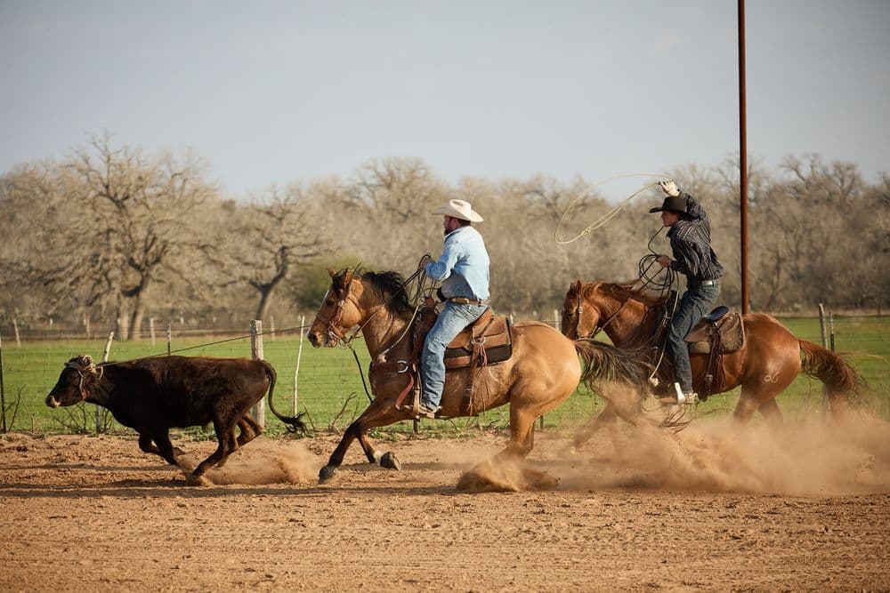 A Cowboy’s Calling