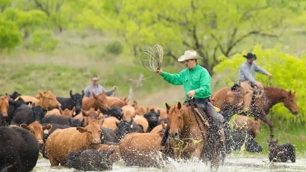 R.A. Brown Ranch