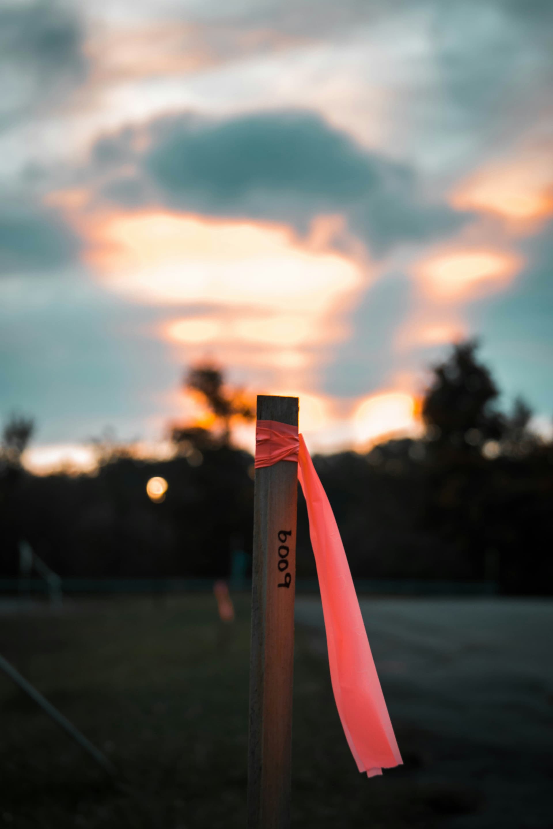 Survey stake with bright pink flag marking a property boundary at sunset on rural Texas land