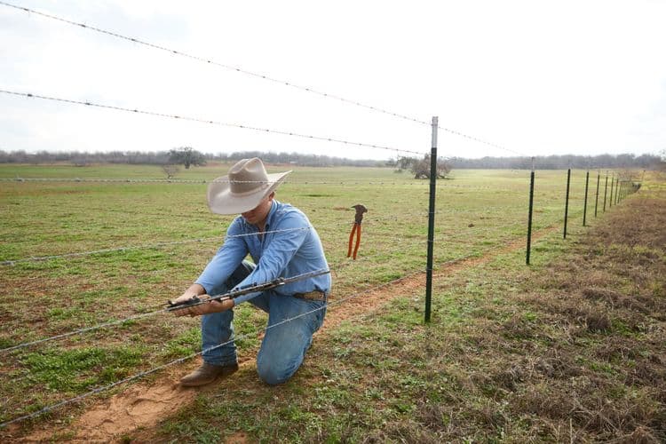 How Barbed Wire Came to Texas