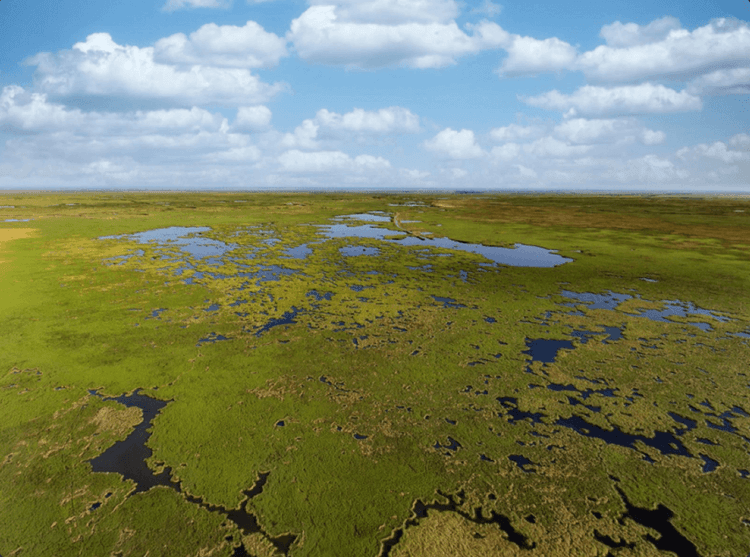 What Every Buyer Should Know About Texas Coastal Land: Flooding, Erosion & Zoning
